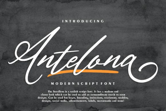 Antelona Script: Where Modern Elegance Meets Practical Design