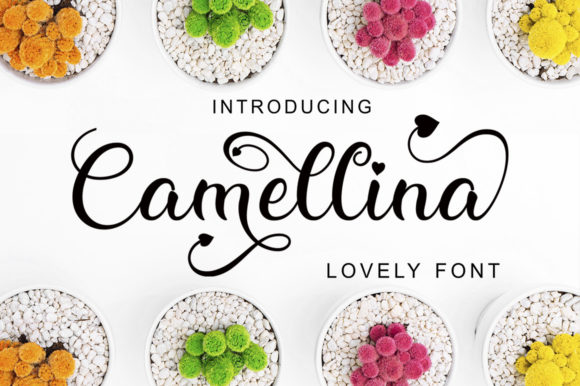 Camellina Script: A Font with Flow and Character