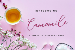 Camomile Script: A Guide to This Elegant Calligraphy Font