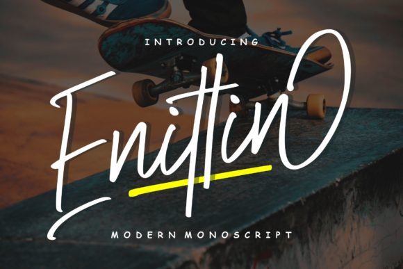 Enittin | Modern Mono Script: A Font with Character