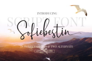 Sofiebestin Script: The Handwritten Font for Modern Brands