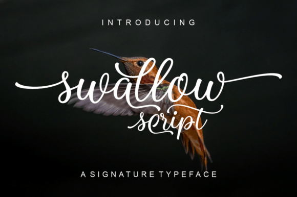 Swallow Script: The Artful Typeface for Modern Creators